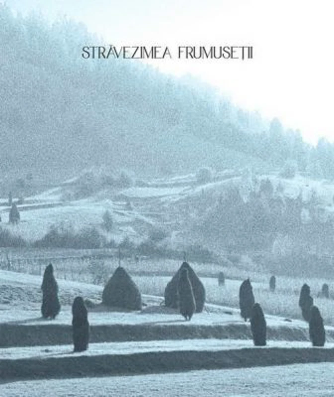 Stravezimea frumusetii - Paul Gherasim, Marius Pandele