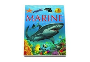 Animale marine pe intelesul copiilor - Enciclopedia animalelor in imagini - Editie cartonata - Emilie Beaumont