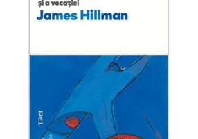 Codul sufletului. In cautarea caracterului si a vocatiei - James Hillman. Traducere de Florin Tudose