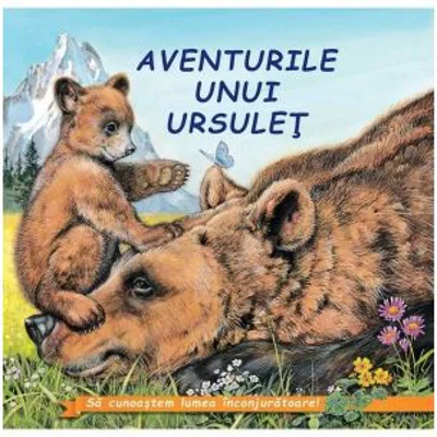 Aventurile unui ursulet