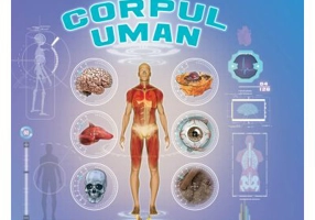 Prima mea enciclopedie. Corpul uman