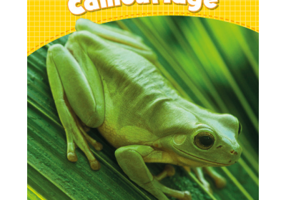 Level 6. Animal Camouflage CLIL - Caroline Laidlaw