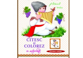 Citesc si colorez cu autocolante. Plaiul meu - Grigore Vieru