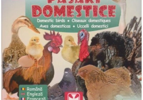 Prima carte cu pasari domestice