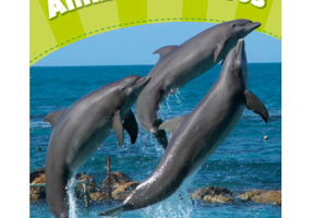 Level 4. Animal Athletes CLIL - Caroline Laidlaw