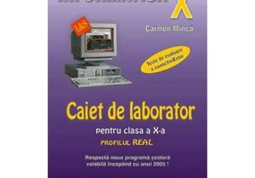 Caiet de laborator pentru clasa a 10-a. Profil real-INFORMATICA - Carmen Minca