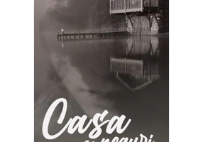 Casa cu neguri - Theodor Constantin