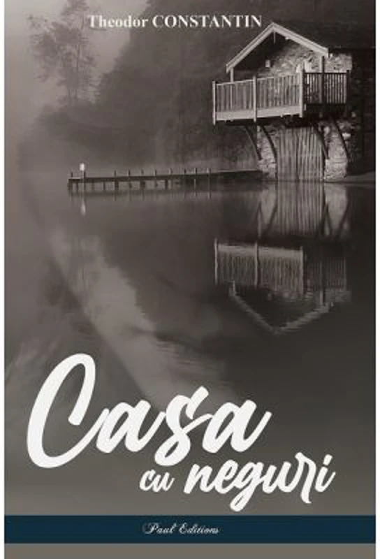 Casa cu neguri - Theodor Constantin