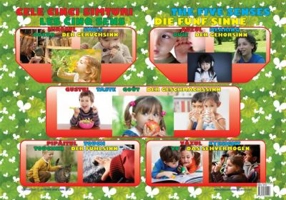 Cele Cinci Simturi - Plansa educativa