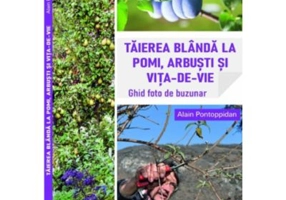 Taierea blanda la pomi, arbusti si vita-de-vie - Alain Pontoppidan