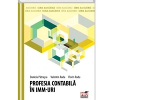 Profesia contabila in IMM-uri