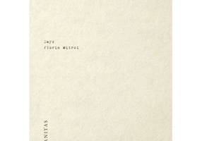 Days - Florin Mitroi