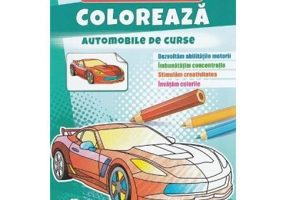 Coloreaza automobile de curse. Autocolante model