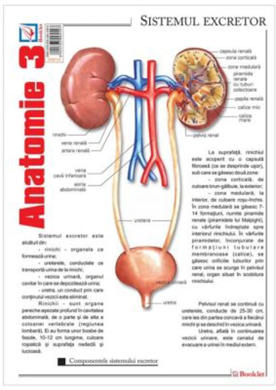 Pliant Anatomie 3