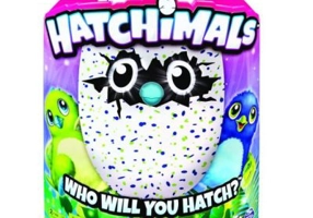 Oul verde Hatchimals