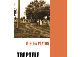 Treptele umbrei - Mircea Platon