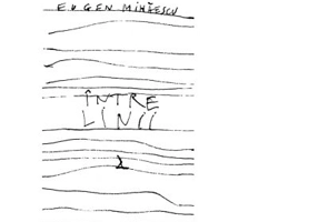 Intre linii - Eugen Mihaescu