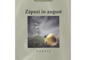 Zapezi in august - Andrei Turcanu