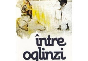 Intre oglinzi - Viorel Valeriu Corocea