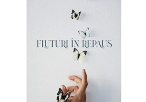 Fluturi in repaus