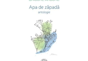 Apa de zapada - Grigore Arbore