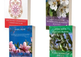 Serie compusa din 4 carti de autor Ovidiu Bojor