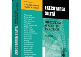 Executarea silita. Dificultati si solutii practice. Volumul I - Evelina Oprina