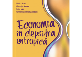 Economia in clepsidra entropica - Florina Bran, Gheorghe Manea, Ildikó Ioan, Carmen Valentina Radulescu