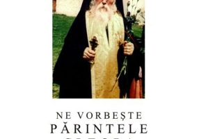 Ne vorbeste parintele Cleopa, volumul 14