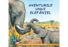 Aventurile unui elefantel - Sa cunoastem lumea inconjuratoare!