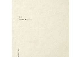 Zile - Florin Mitroi