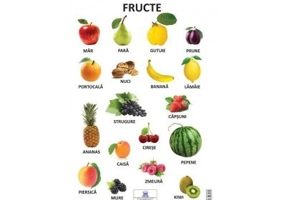 Plansa Fructe