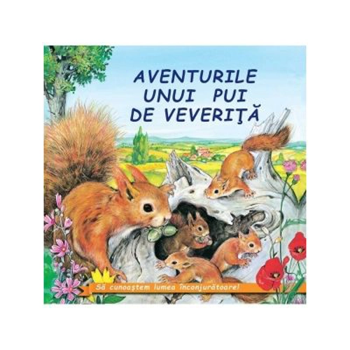 Aventurile unui pui de veverita