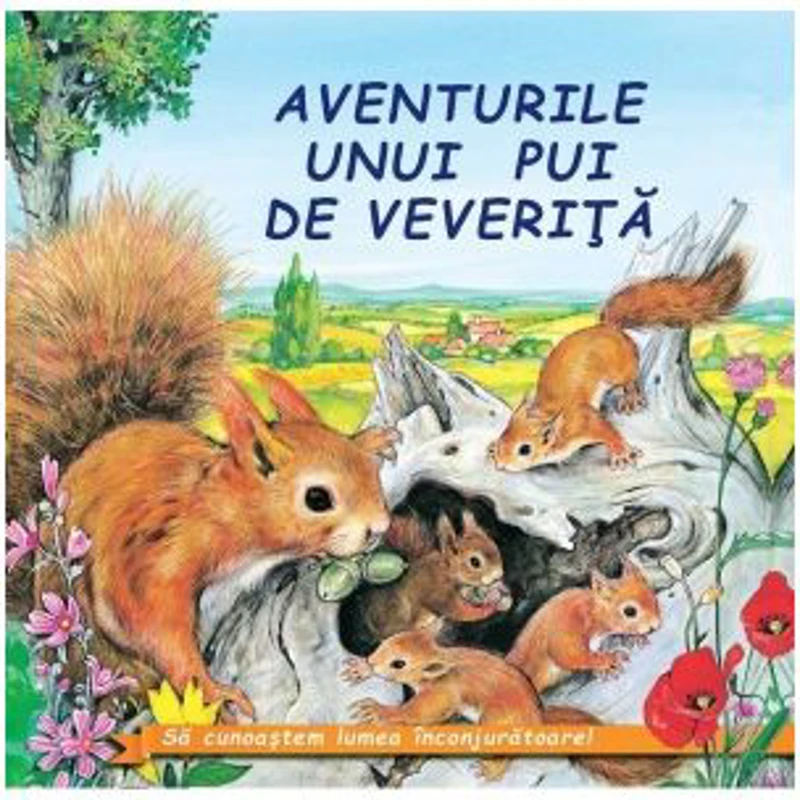 Aventurile unui pui de veverita