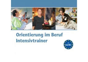 Orientierung im Beruf. Erfolgreich handeln im Beruf. Intensivtrainer mit Audio-CD - Angelika Braun