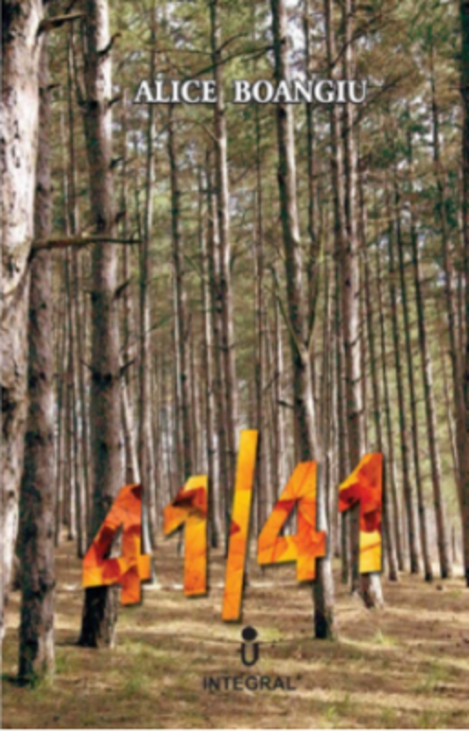 41/41