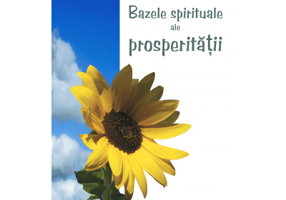 Bazele spirituale ale prosperitatii - Roy Eugene Davis. Traducere de Cristina Danasel