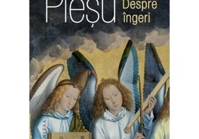 Despre ingeri - Andrei Plesu