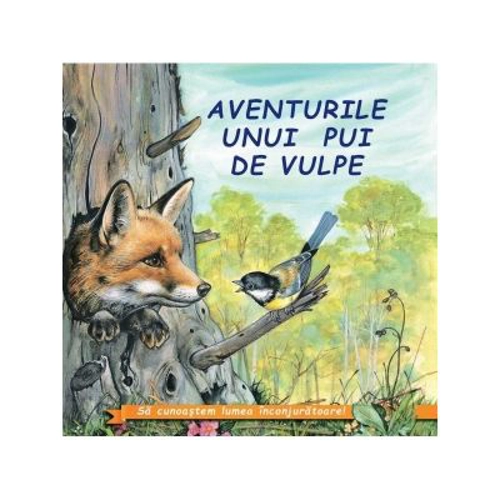 Aventurile unui pui de vulpe