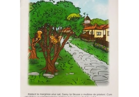 Carnavalul diversitatii (Carte uriasa) - Otilia Brebenel