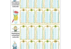Pliant inmultirea-impartirea