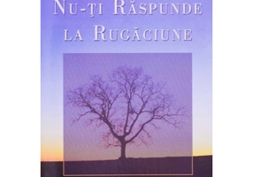 Cand Dumnezeu nu-ti raspunde la rugaciune - Jerry Sittser