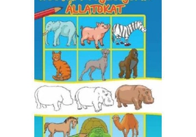 Hogyan rajzoljunk allatokat. Cum sa desenam animale