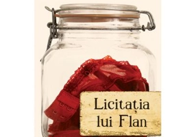 Licitatia lui Flan - Gayle Brandeis