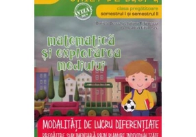 Matematica si explorarea mediului, caiet de lucru, pentru clasa pregatitoare. MATE 2000-CONSOLIDARE. Modalitati de lucru diferentiate Semestrele 1-2- Daniela Berechet