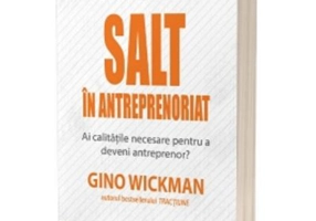 Salt in antreprenoriat - Gino Wickman