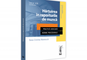 Hartuirea in raporturile de munca. Practica judiciara. Norme procedurale