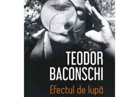 Efectul de lupa. Cateva priviri asupra culturii contemporane - Teodor Baconschi