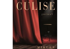 Culise. Jurnal