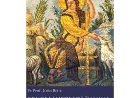 Crucea lucreaza in lume. Omilii pentru perioadele liturgice de peste an